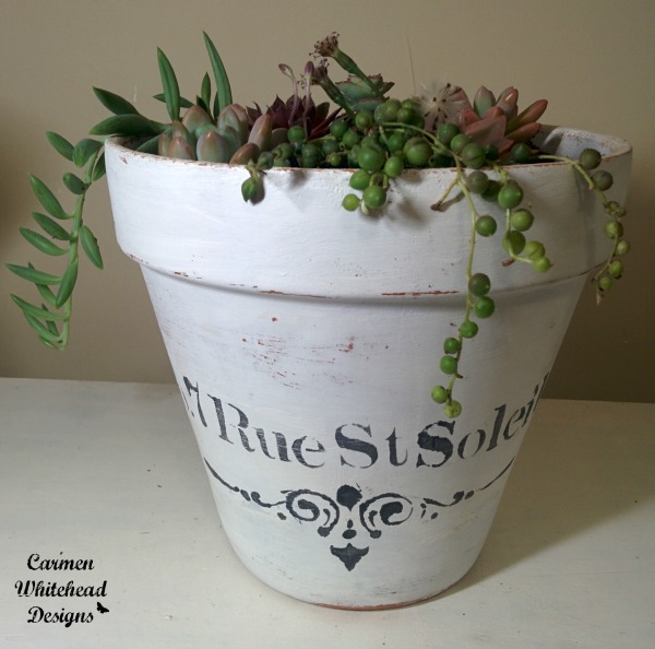 Updated Terra Cotta pot with chalky finish paint and succulents created by www.carmenwhitehead.com